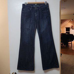 Banana Republic Jeans - Urban Flare Leg - 2P